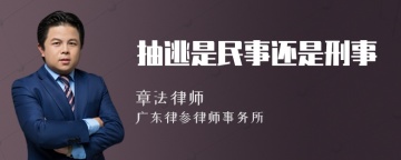 抽逃是民事还是刑事