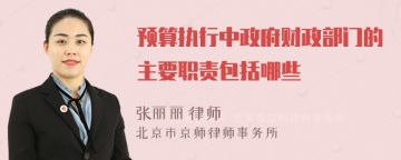 预算执行中政府财政部门的主要职责包括哪些