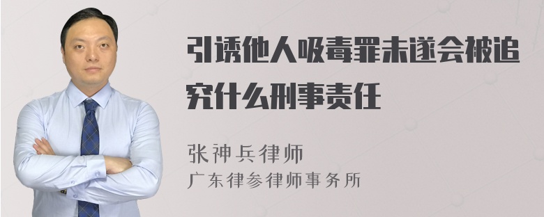 引诱他人吸毒罪未遂会被追究什么刑事责任