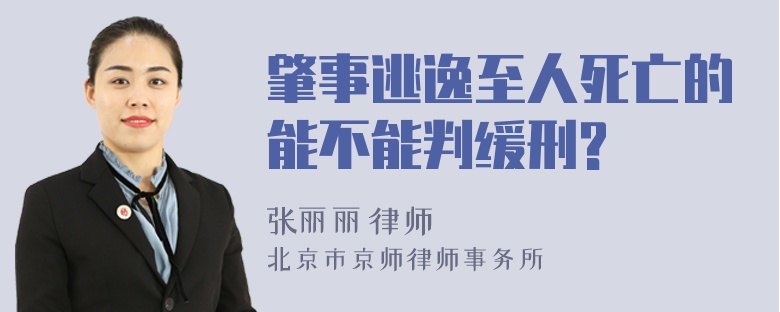 肇事逃逸至人死亡的能不能判缓刑?