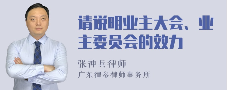 请说明业主大会、业主委员会的效力