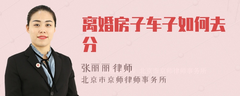 离婚房子车子如何去分