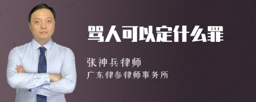 骂人可以定什么罪