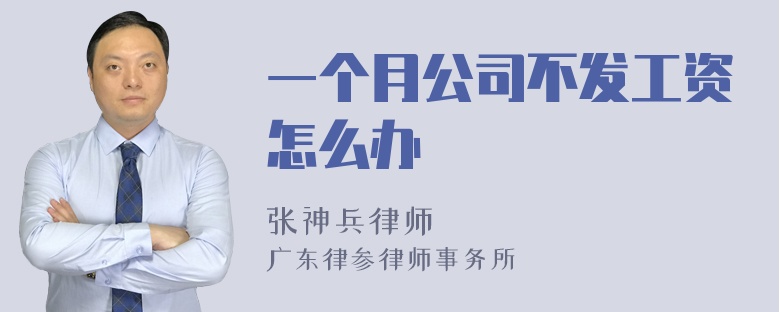 一个月公司不发工资怎么办