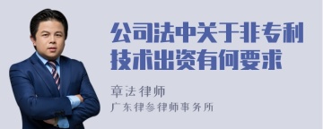 公司法中关于非专利技术出资有何要求