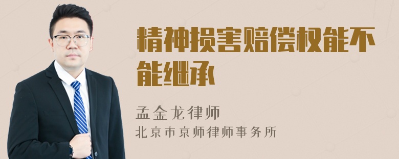 精神损害赔偿权能不能继承