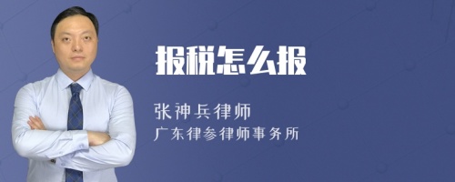 报税怎么报