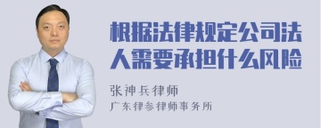 根据法律规定公司法人需要承担什么风险