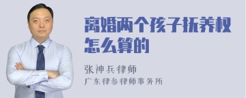 离婚两个孩子抚养权怎么算的