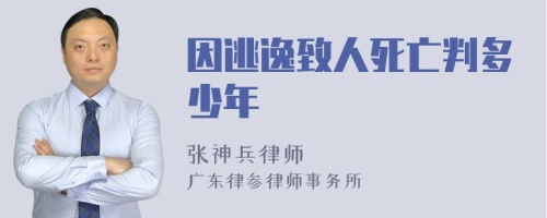 因逃逸致人死亡判多少年