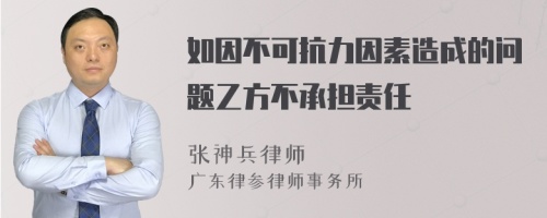 如因不可抗力因素造成的问题乙方不承担责任