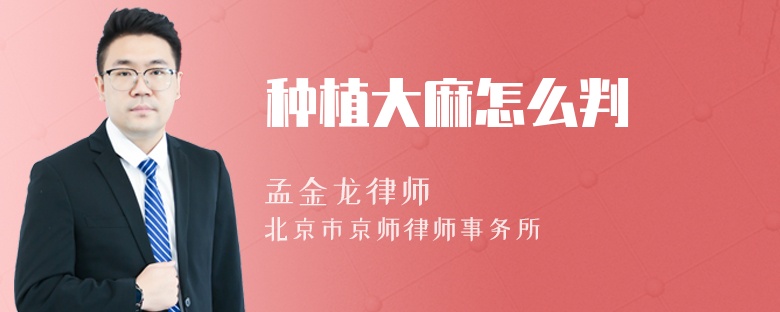 种植大麻怎么判
