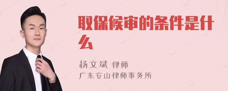 取保候审的条件是什么