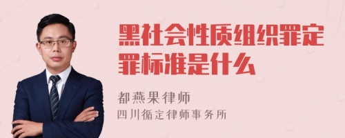 黑社会性质组织罪定罪标准是什么