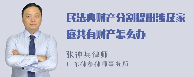 民法典财产分割提出涉及家庭共有财产怎么办