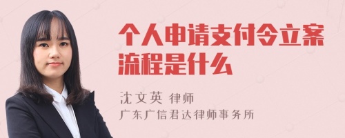 个人申请支付令立案流程是什么