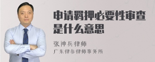 申请羁押必要性审查是什么意思