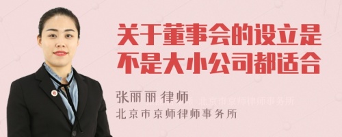 关于董事会的设立是不是大小公司都适合