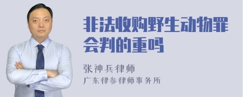 非法收购野生动物罪会判的重吗