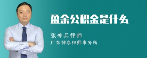 盈余公积金是什么