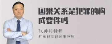 因果关系是犯罪的构成要件吗