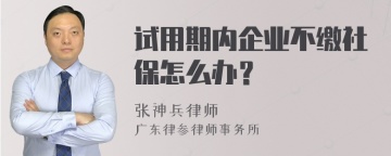 试用期内企业不缴社保怎么办？