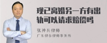 现已离婚另一方有出轨可以请求赔偿吗