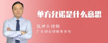 单方允诺是什么意思