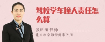 驾校学车撞人责任怎么算