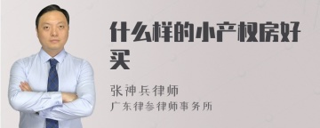 什么样的小产权房好买