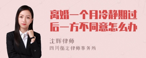 离婚一个月冷静期过后一方不同意怎么办