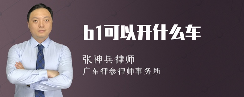 b1可以开什么车