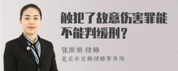 触犯了故意伤害罪能不能判缓刑？