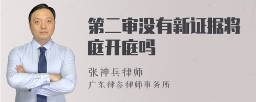 第二审没有新证据将庭开庭吗