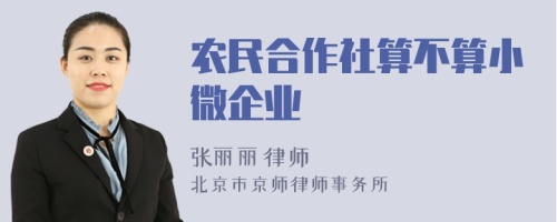 农民合作社算不算小微企业