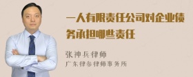 一人有限责任公司对企业债务承担哪些责任