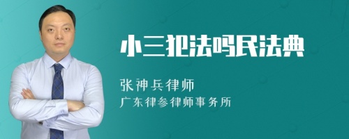 小三犯法吗民法典