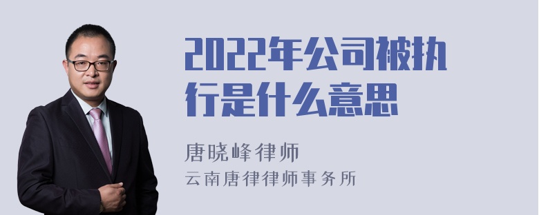 2022年公司被执行是什么意思