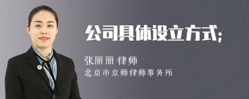 公司具体设立方式；