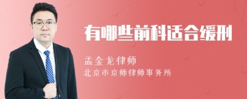 有哪些前科适合缓刑