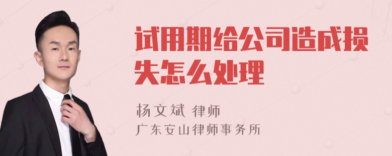 试用期给公司造成损失怎么处理