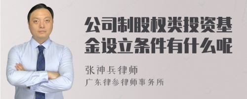 公司制股权类投资基金设立条件有什么呢