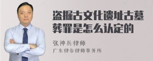 盗掘古文化遗址古墓葬罪是怎么认定的