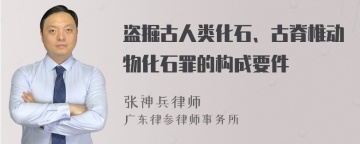 盗掘古人类化石、古脊椎动物化石罪的构成要件