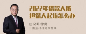 2022年借款人被担保人起诉怎么办