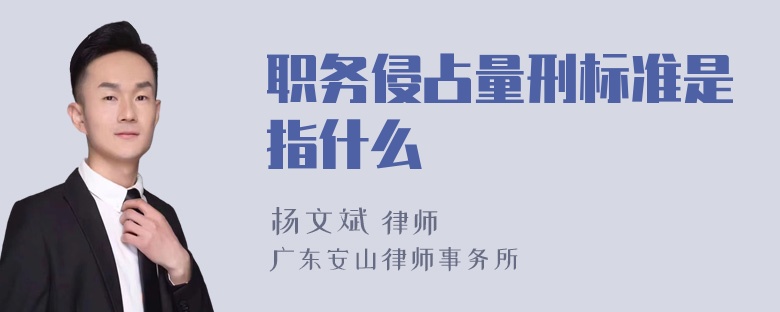 职务侵占量刑标准是指什么