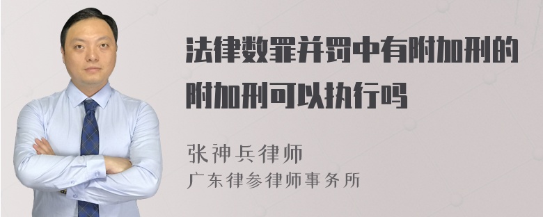 法律数罪并罚中有附加刑的附加刑可以执行吗