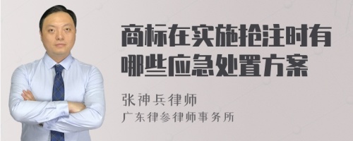 商标在实施抢注时有哪些应急处置方案