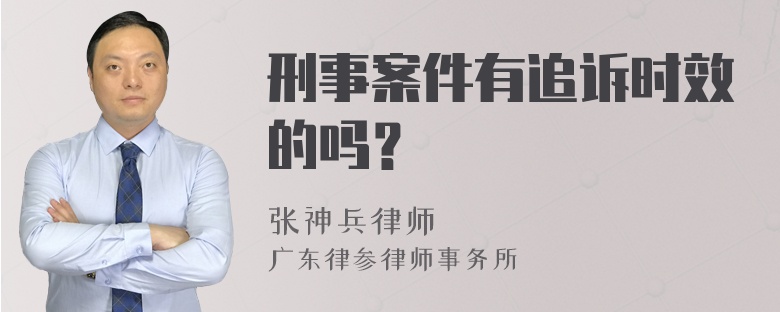 刑事案件有追诉时效的吗？