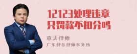 12123处理违章只罚款不扣分吗